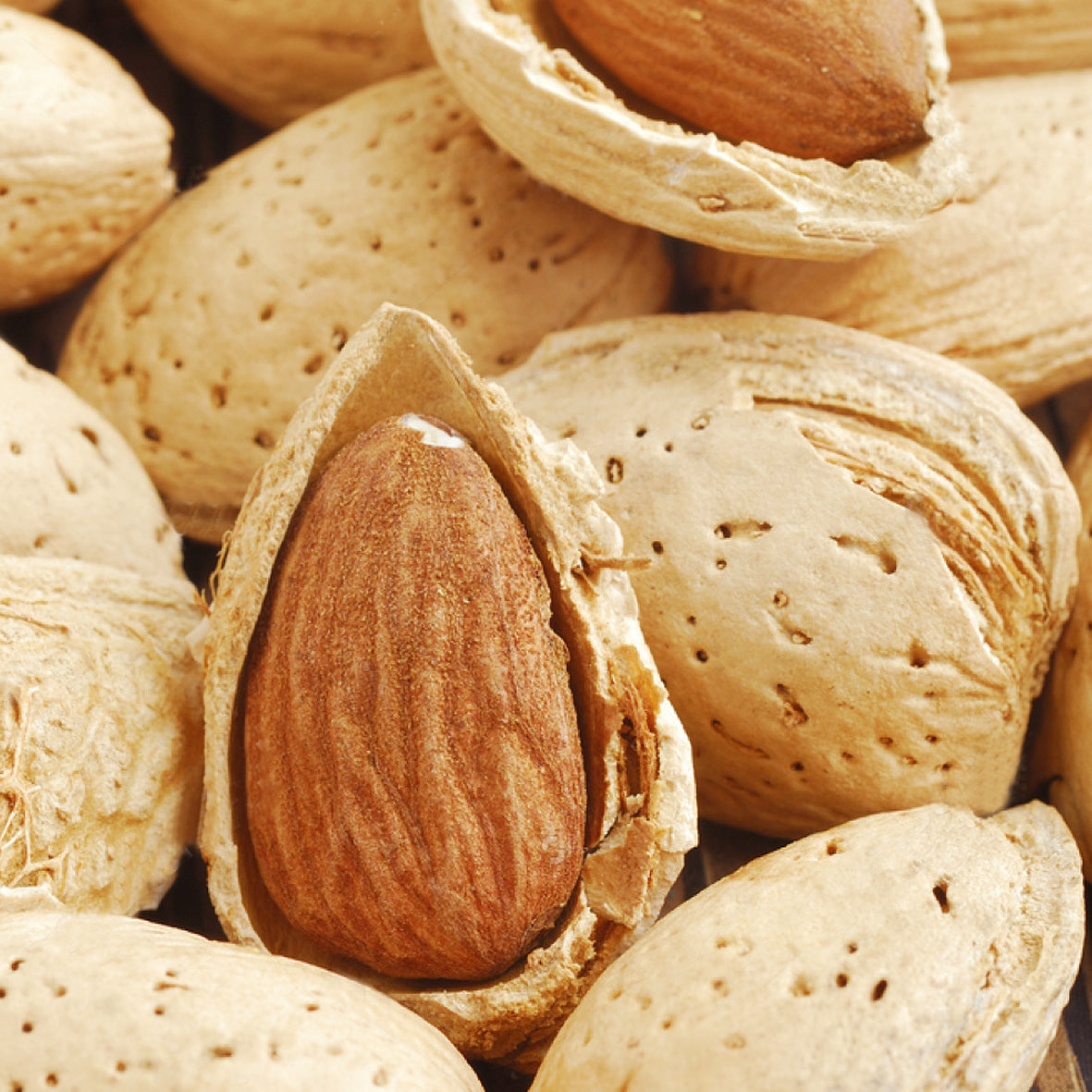 Natural Virgin Sweet Almond Oil 100ml